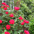 @JY-bt7of