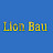 LionBau