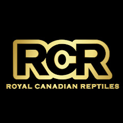 Thumbnail of related channel