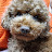 @user-be8uj8qr6f