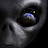 @berlinbro6692 Avatar
