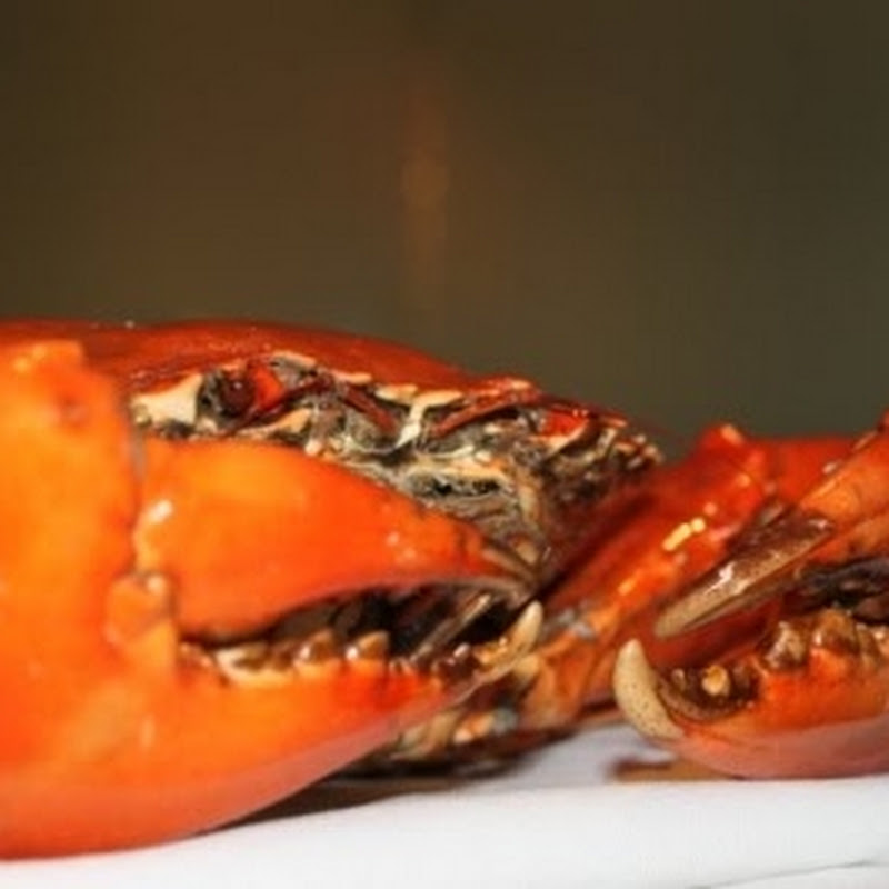 GambaroAustralia