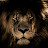 avatar of @zunnoorainrafi5985