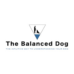 The Balanced Dog channel logo