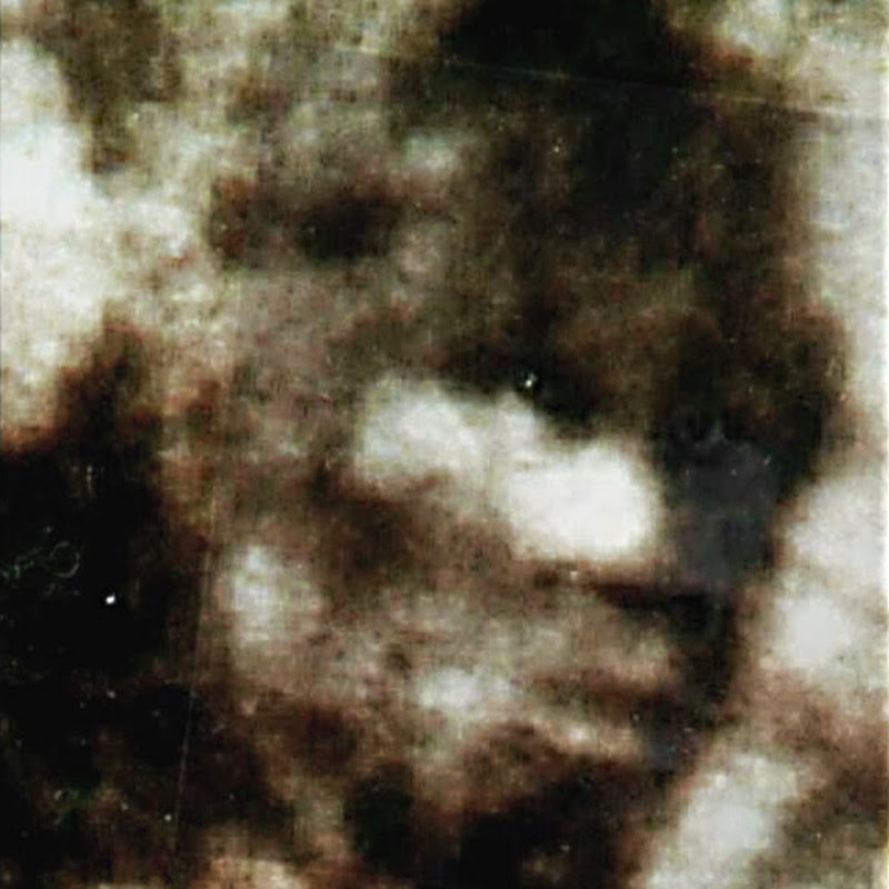 Bigfoot Tony