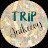 Trip_Anikeevy