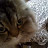 @user-ix6ct4yf8q