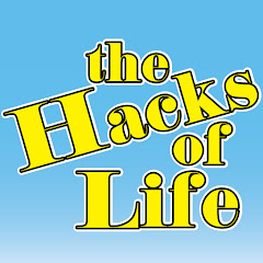 The Hacks Of Life net worth