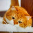 @흰둥이-e3g