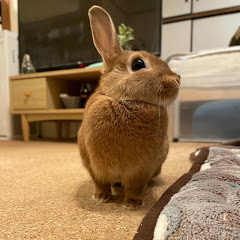 なのえ