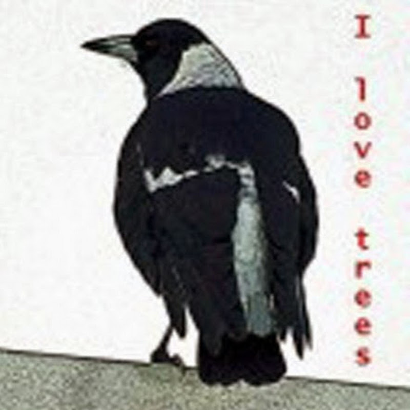 savingourtrees