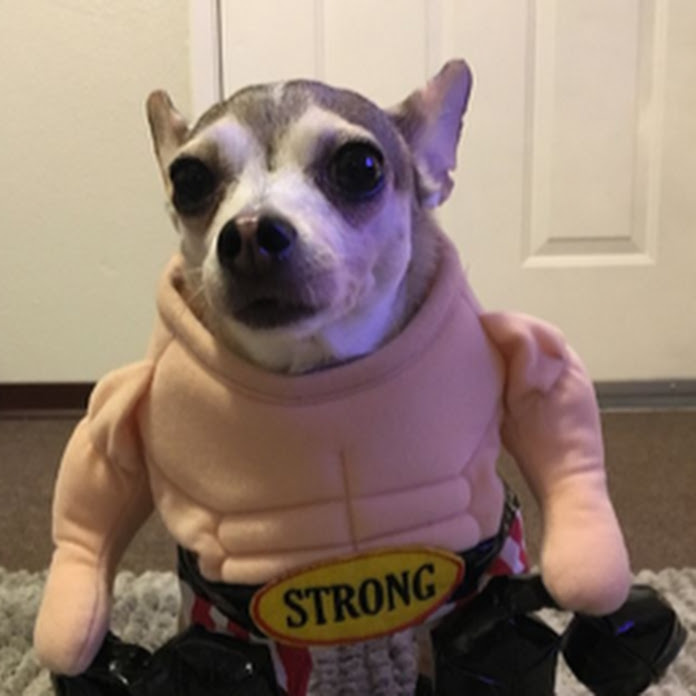 Noah W Plays Net Worth & Earnings (2026)