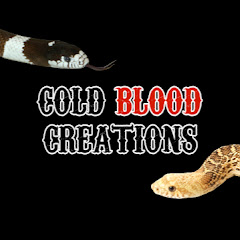 Cold Blood Creations net worth