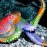 okj4Qr5nzpU-channel-avatar-pilopo polipo