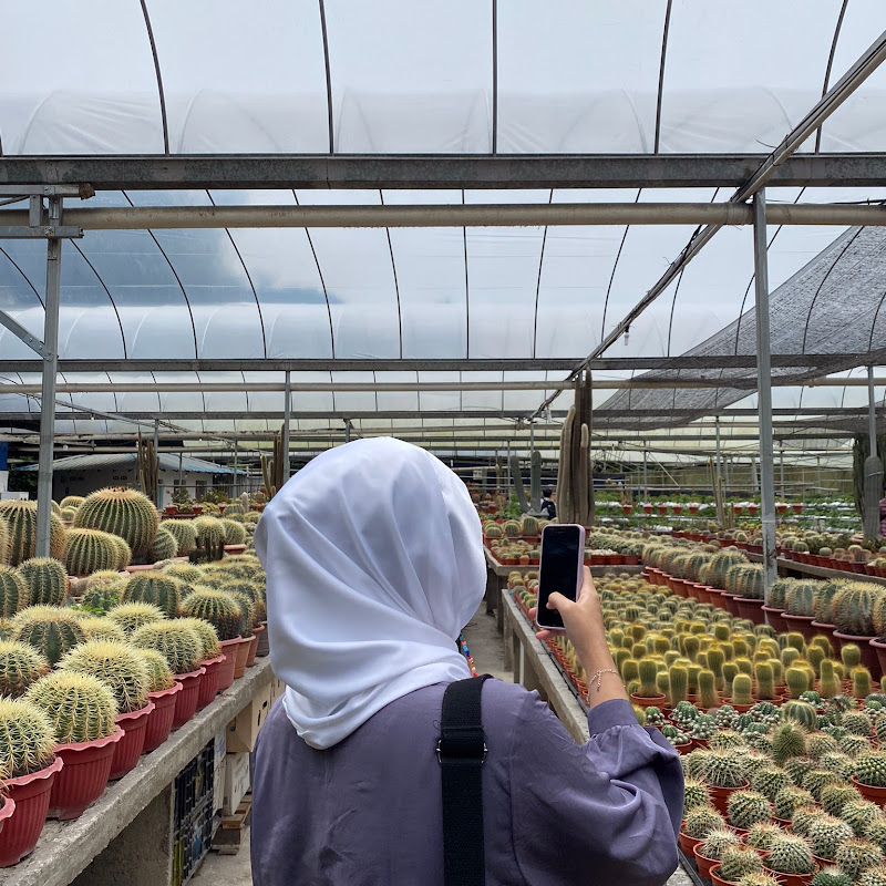 Nur Maisarah Rosdeh