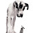 @Big_Old_Dog