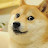 @shiiba_shiiba