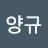 @이양규-l6m