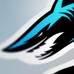 Shark Attack