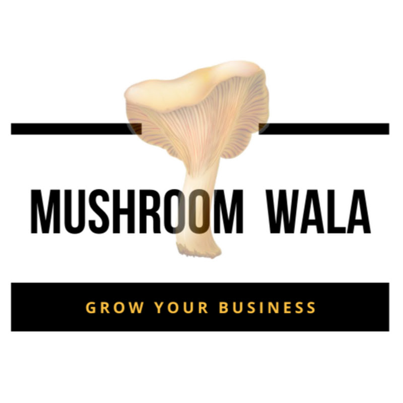 Mushroom wala