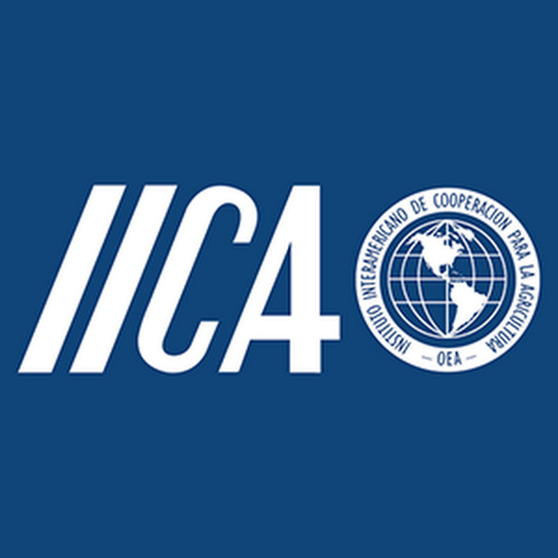 IICAnoticias
