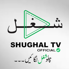 Shughal TV Official net worth