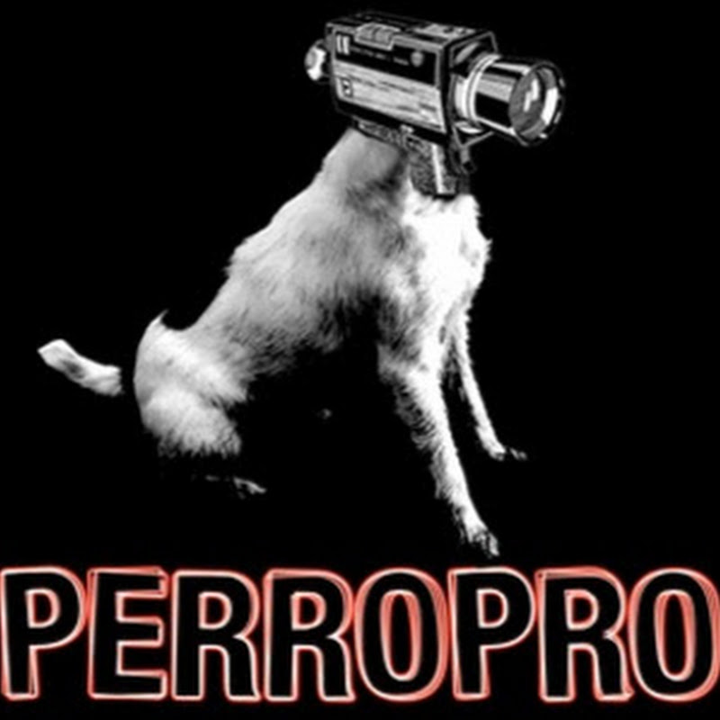 perropro