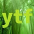 Zqpi9AERWv8-channel-avatar-yt forest