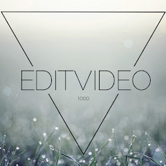 EditVideo1000 net worth
