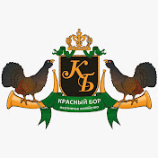 Туристический комплекс «Красный Бор». Hunting estate "Krasny Bor"