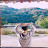 @책방뮤직