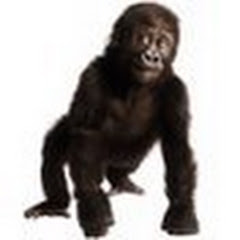 GorillaTV2009
