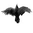 Ma1ikh0E6Qg-channel-avatar-Roman Shigaev (www.shigaev.pro)
