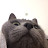@TV-qy5lj