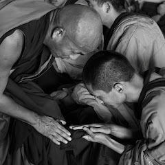 Gyuto Monks In Bondi