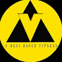 V-desi dance fitness logo