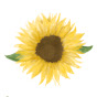 Sunflower Cottage Crochet logo