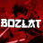 @bozlatml2973