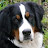 @juanluisvalenciaga6060's avatar