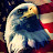 @Icybubba's avatar