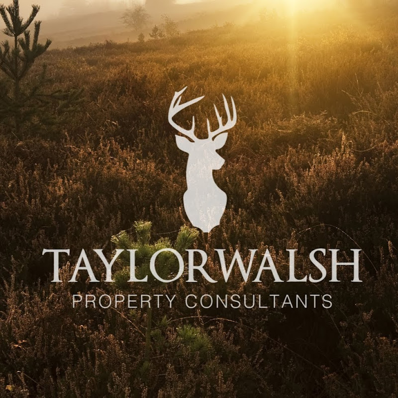Taylor Walsh property consultants