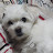 @kimjongsoo891117
