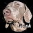 Rock Weimaraner