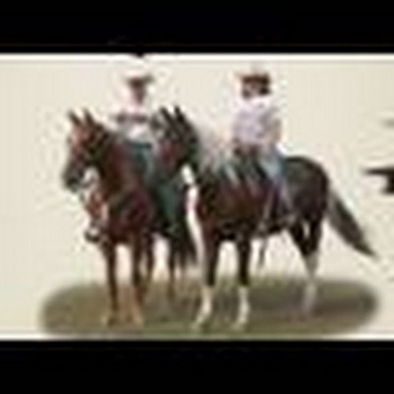 charmcowboy