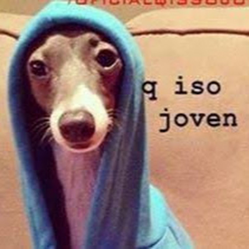Familia BJ Dance (Pablo)