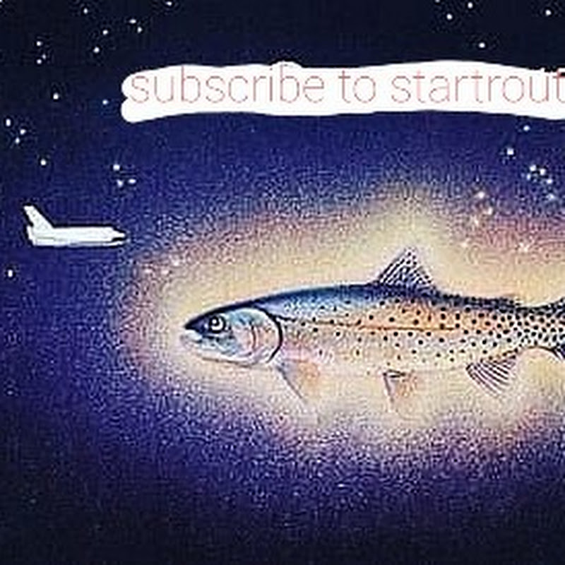Hire Star trout — Pets & Animals YouTube creator for sponsorships
