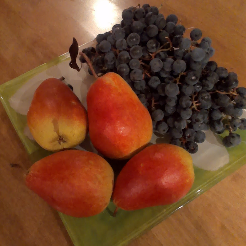 Виталий Практик-Самоучка Logo