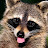 @blacksheep1971 Avatar