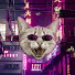 sJATgwO4xfw-channel-avatar-shreebington