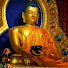 jmP499g3HAY-channel-avatar-buddhatv1